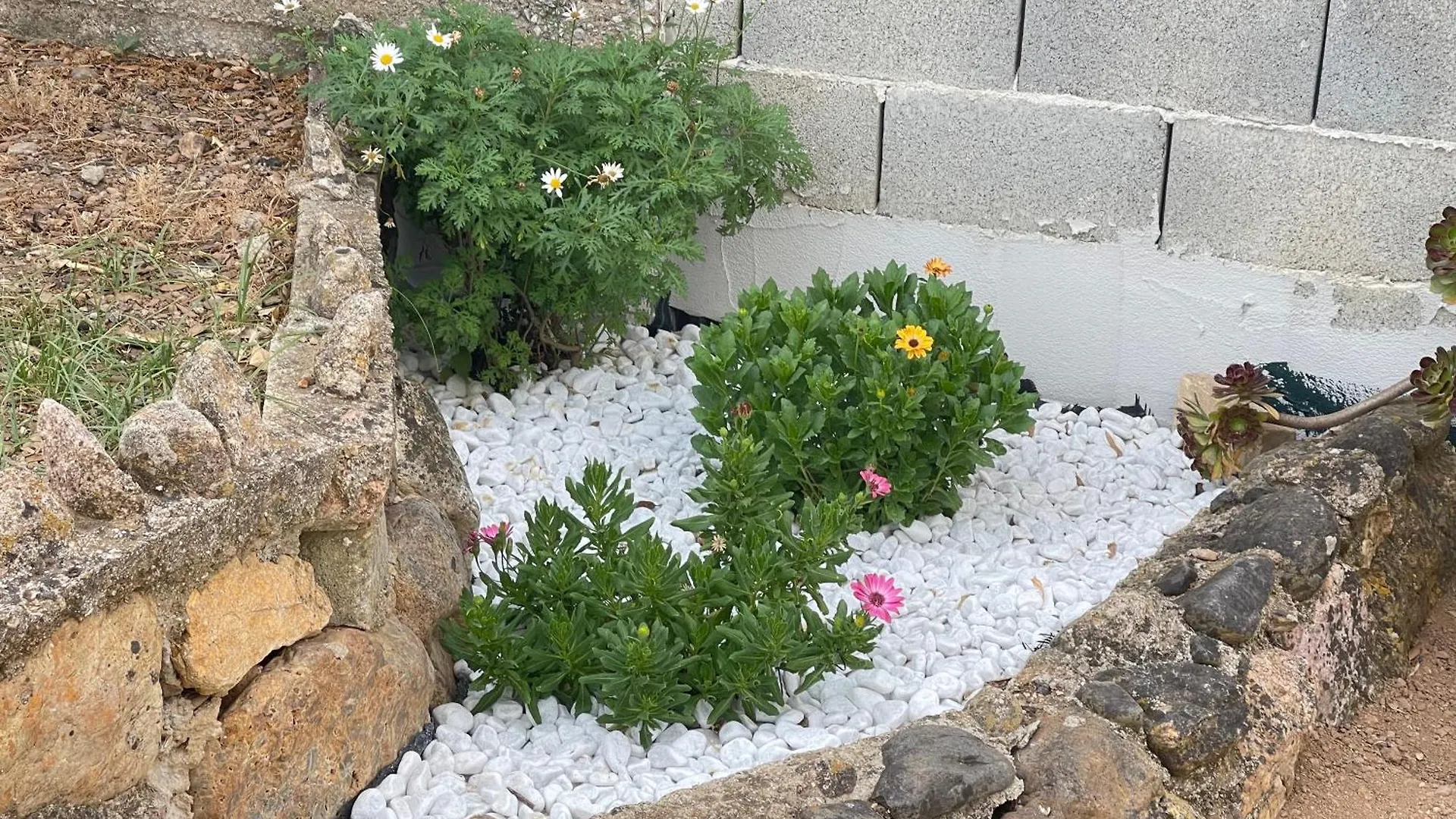 בית נופש Domusnovas Villa Eden